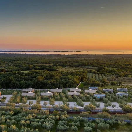 Papafigo Glamping * וודניאן