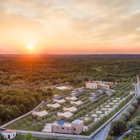 Papafigo Glamping אתר קמפינג וודניאן