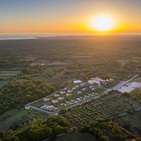 Papafigo Glamping 营地