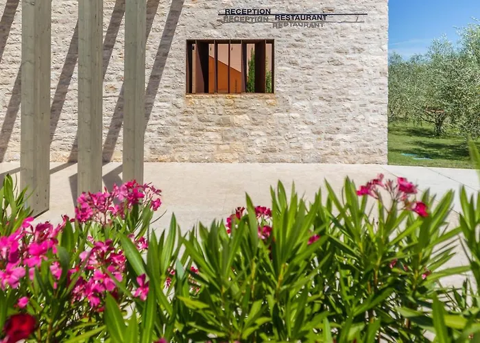 Camping Papafigo Vodnjan