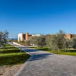 אתר קמפינג Papafigo וודניאן