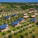 Papafigo וודניאן